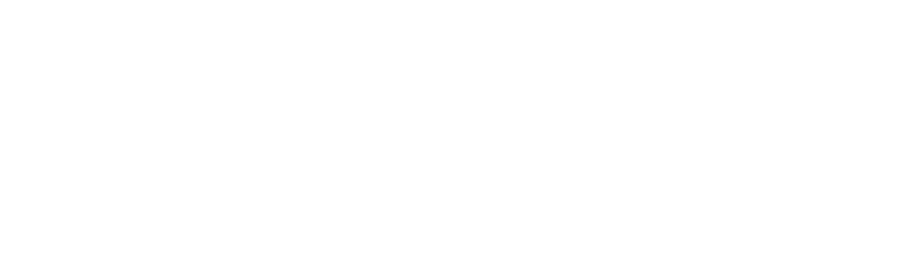 Logo l Digital Holland l RGB l WIT